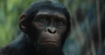 Top 15 'Kingdom of the Planet of the Apes' Movie Quotes